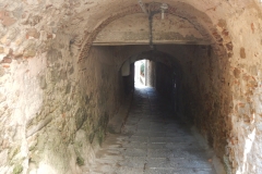 DSCN1094