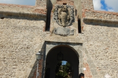 DSCN1102
