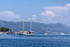 IMG_0589