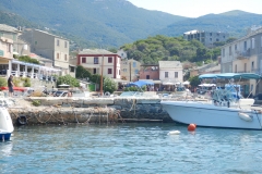 DSCN0781