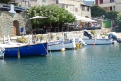 DSCN0784