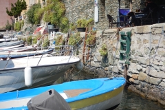 DSCN0786