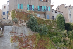 Calvi