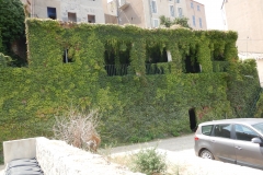 Calvi