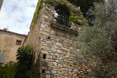 DSCN0736