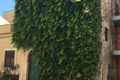 Punta Secca