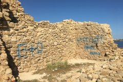 Torre di Mezzo/torre di Pietro
