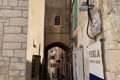IMG_0551