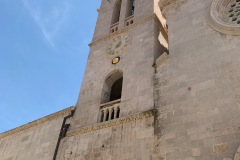 IMG_0554