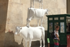 Three Cows