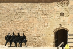 Soldiers cupture outside Museum