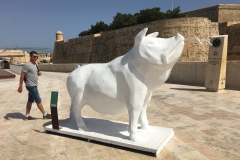Maltese Thinking Statue of Pig eating Snake