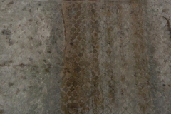 DSCN1343