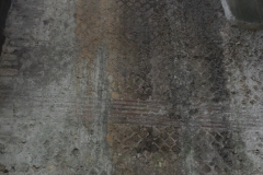 DSCN1346