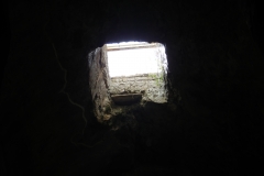 DSCN1354