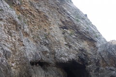 Palinuro