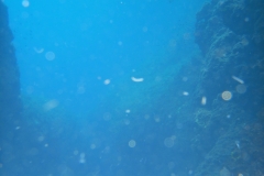 Palinuro