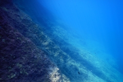 DSCN1847