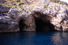 DSCN1864