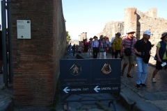 Many tour groups