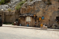 DSCN0248