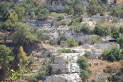 DSCN0258