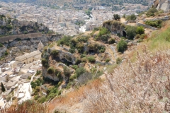 DSCN0261