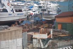 DSCN1078