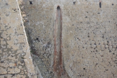 DSCN1119